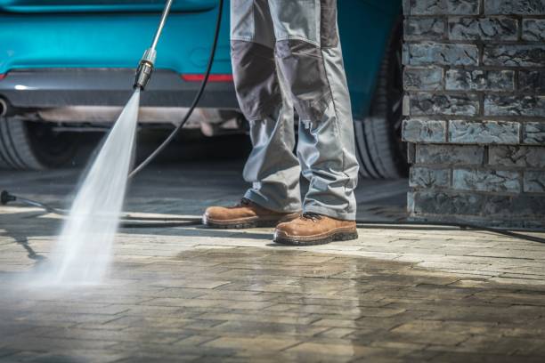 Best Pre-Holiday Cleaning  in Lumberton, TX